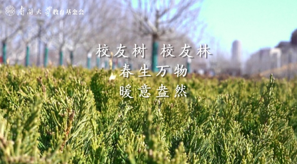 校友树 校友林 | 春生万物 暖意盎然