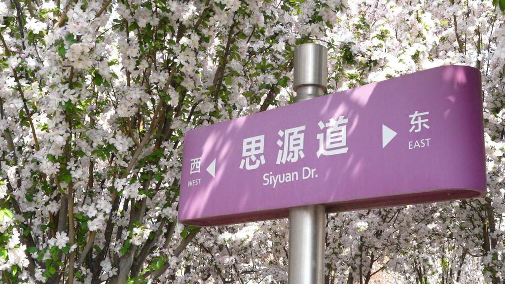 南开人写给春的情诗
